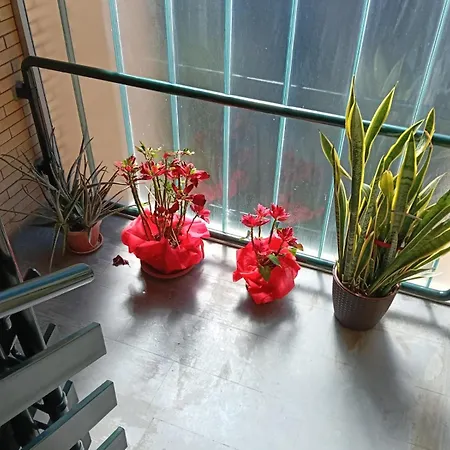 Yana Apartmán Řím